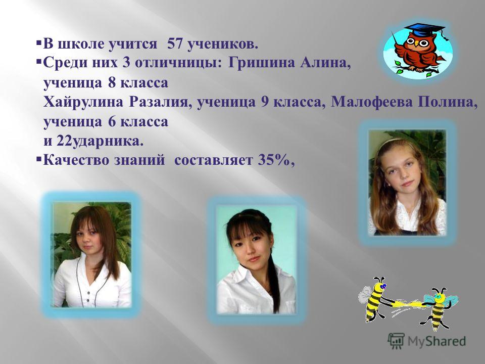 В школе учится 57 учеников. Среди них 3 отличницы : Гришина Алина, ученица 8 класса Хайрулина Разалия, ученица 9 класса, Малофеева Полина, ученица 6 класса и 22 ударника. Качество знаний составляет 35%,