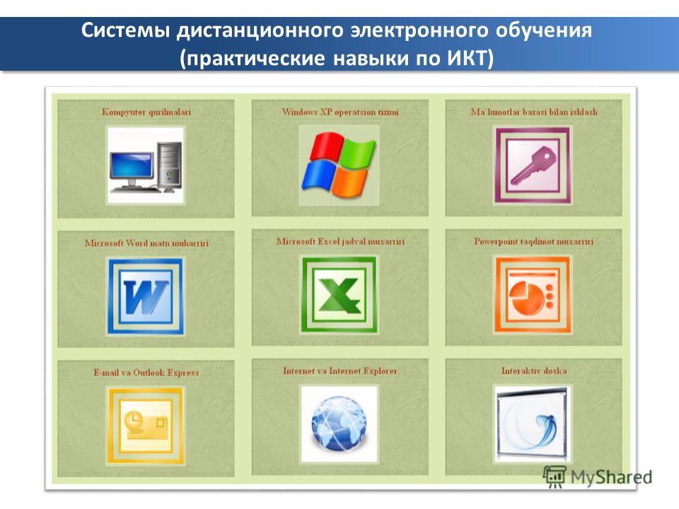 Системы дистанционного электронного обучения (практические навыки по ИКТ)