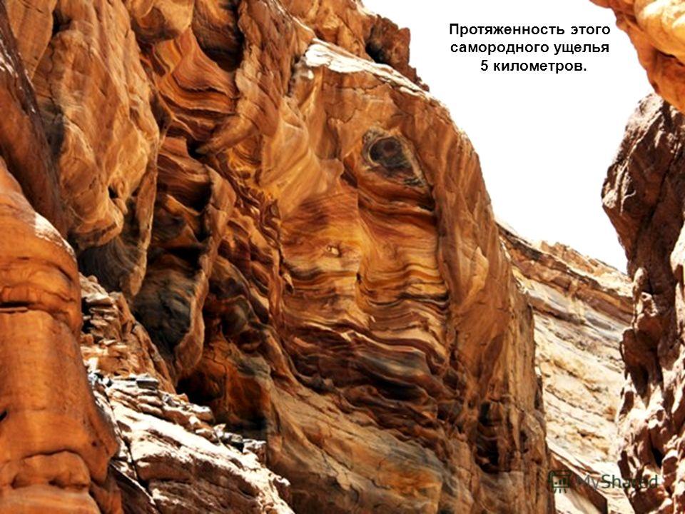 Под воздействием ветра и солнца существовавшее дно бывшего некогда моря на этом участке Синайских гор обрело вид замысловатого лабиринта.