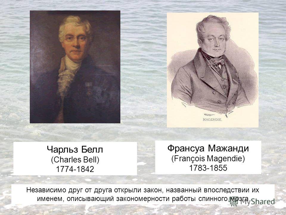 Чарльз Белл (Charles Bell) 1774-1842 Франсуа Мажанди (François Magendie) 1783-1855 Независимо друг от друга открыли закон, названный впоследствии их именем, описывающий закономерности работы спинного мозга
