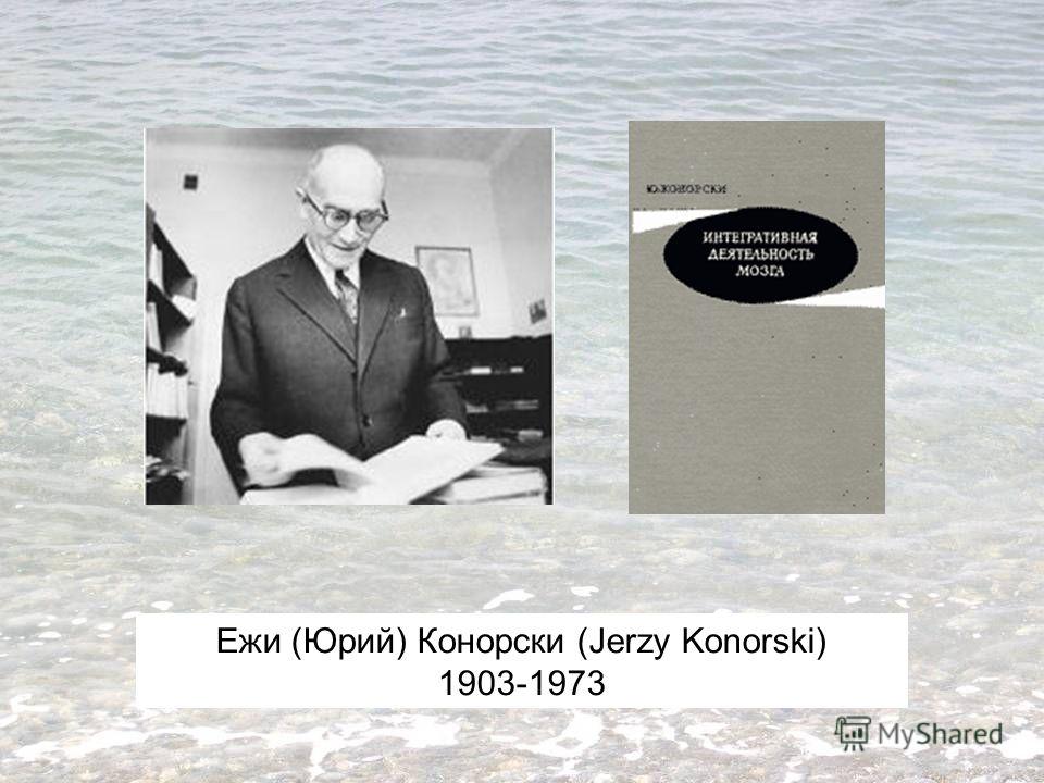Ежи (Юрий) Конорски (Jerzy Konorski) 1903-1973