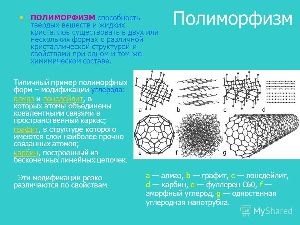 ПОЛИМОРФИЗМ * Большая российская энциклопедия - электронная версия