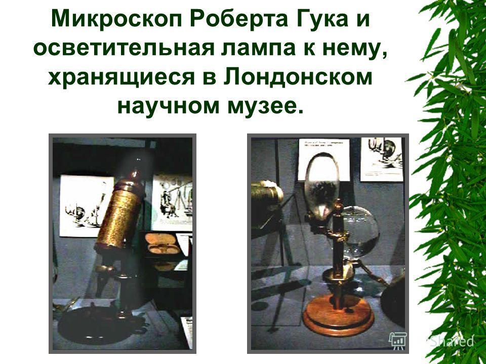 Микроскоп Роберта Гука и осветительная лампа к нему, хранящиеся в Лондонском научном музее.