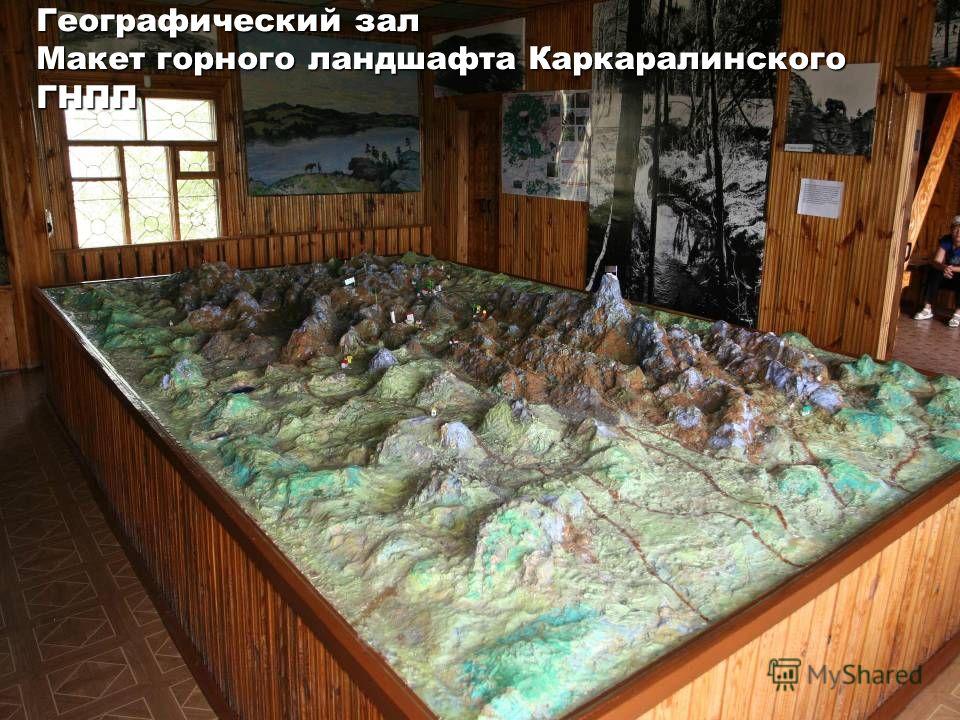 Географический зал Макет горного ландшафта Каркаралинского ГНПП