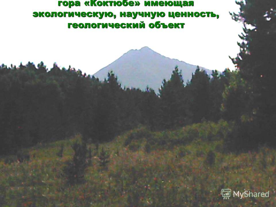 гора «Коктюбе» имеющая экологическую, научную ценность, геологический объект гора «Коктюбе» имеющая экологическую, научную ценность, геологический объект