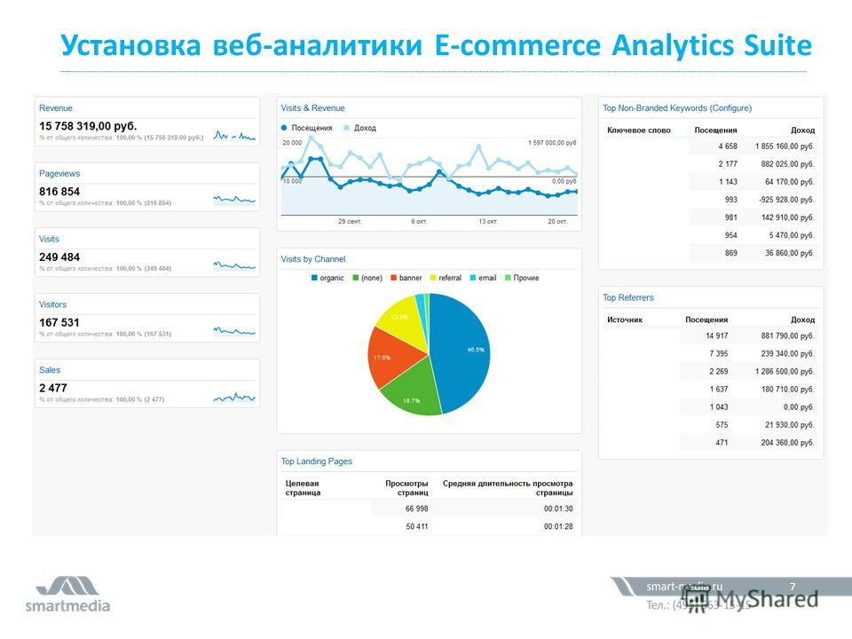 Установка веб-аналитики E-commerce Analytics Suite 61,2 млн. 7