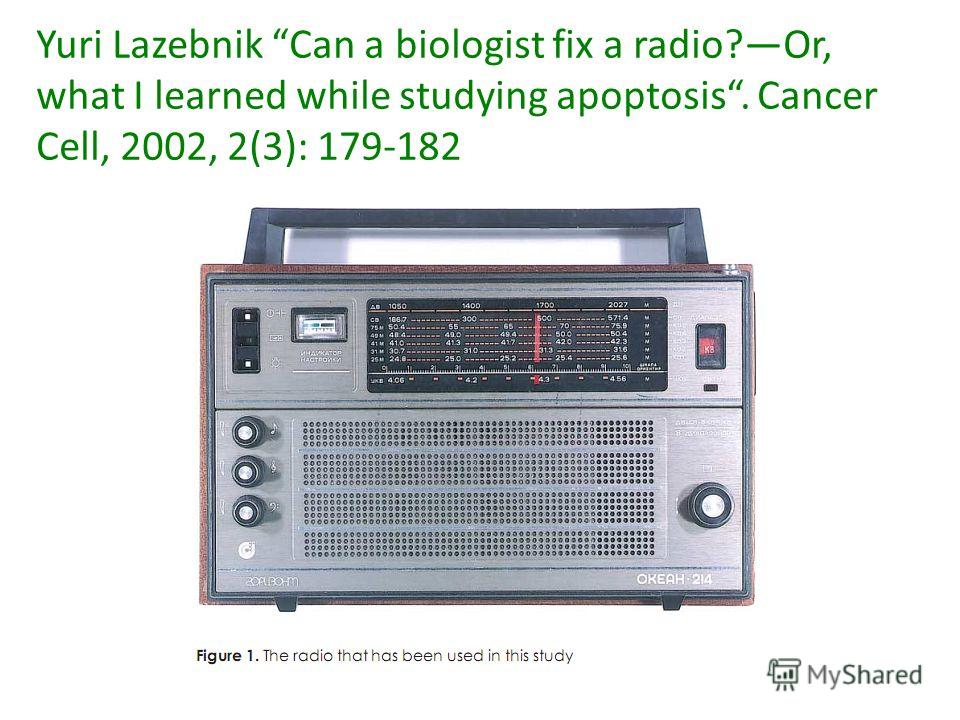 Yuri Lazebnik Can a biologist fix a radio?Or, what I learned while studying apoptosis. Cancer Cell, 2002, 2(3): 179-182