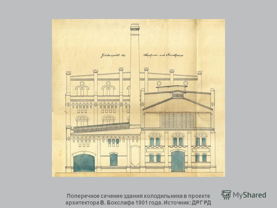 Поперечное сечение здания холодильника в проекте архитектора В. Бокслафа 1901 года. Источник: ДРГ РД