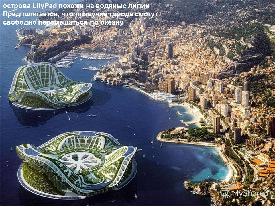 острова LilyPad похожи на водяные лилии Предполагается, что плавучие города смогут свободно перемещаться по океану