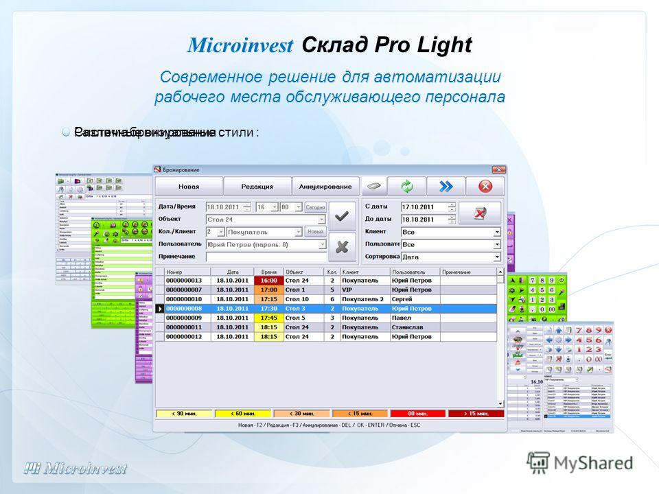 Различные визуальные стили : Система бронирования : Современное решение для автоматизации рабочего места обслуживающего персонала Microinvest Склад Pro Light