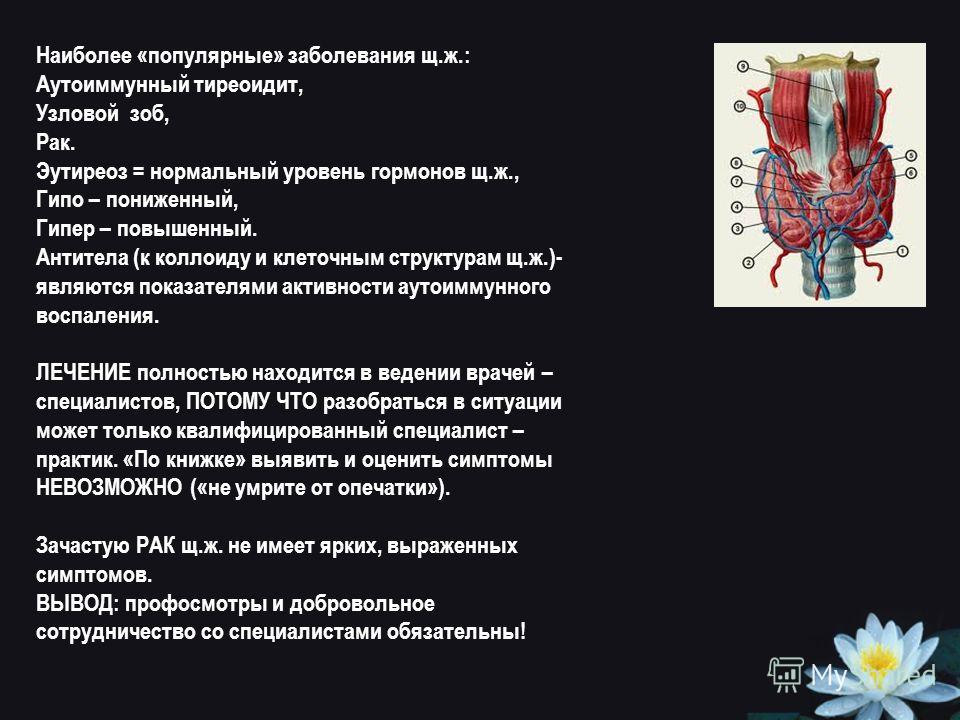 Диета При Многоузловом Зобе Щитовидной Железы