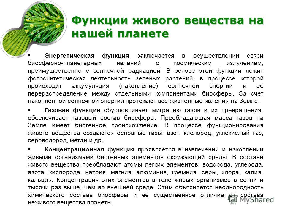 Полезные мутации у людей О чём еще можно почитать Поделки из пробок от бутылок вина или