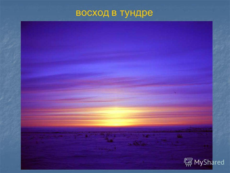 ПРЕЗЕНТАЦИЯ ПО ОКРУЖАЮЩЕМУ МИРУ 4 КЛАСС ТУНДРА СКАЧАТЬ БЕСПЛАТНО ПРЕЗЕНТАЦИЯ ПО ОКРУЖАЮЩЕМУ МИРУ 4 КЛАСС ТУНДРА СКАЧАТЬ БЕСПЛАТНО