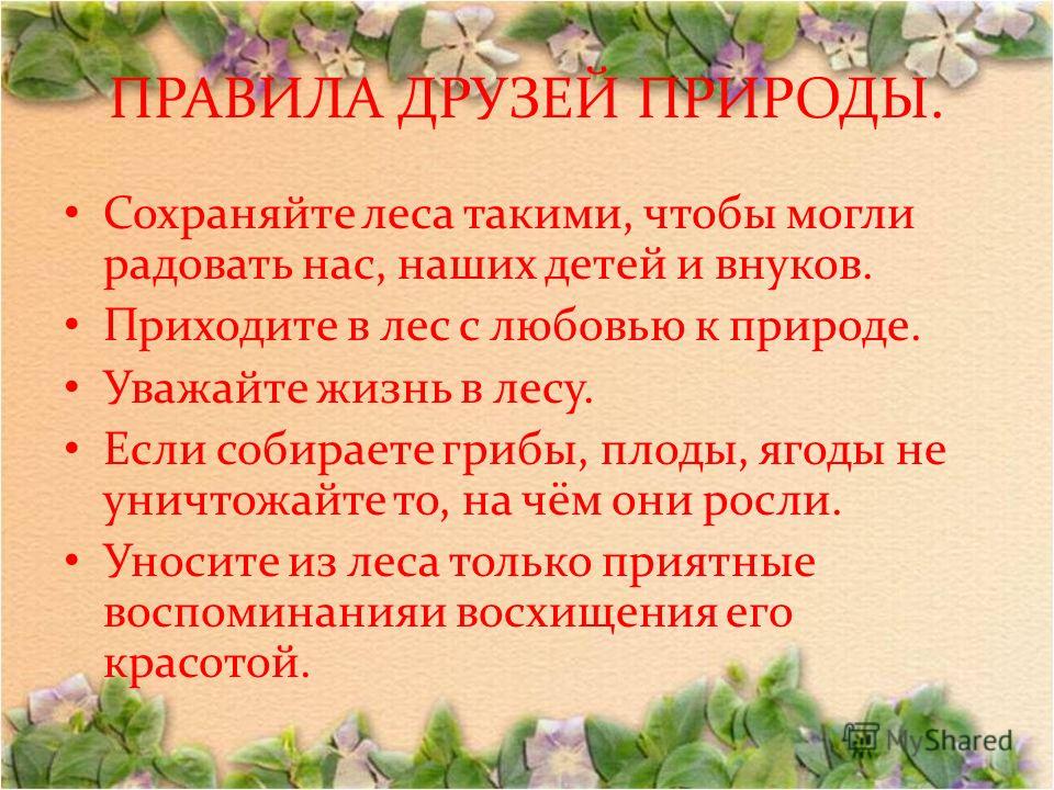 Картинки экологические знаки правила друзей природы Картинки экологические знаки правила друзей природы