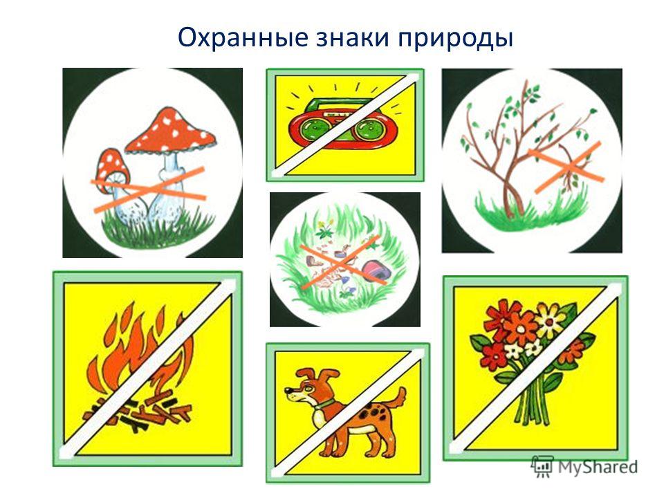 Трогательные стихи для дочери в день свадьбы Трогательные стихи для дочери в день свадьбы