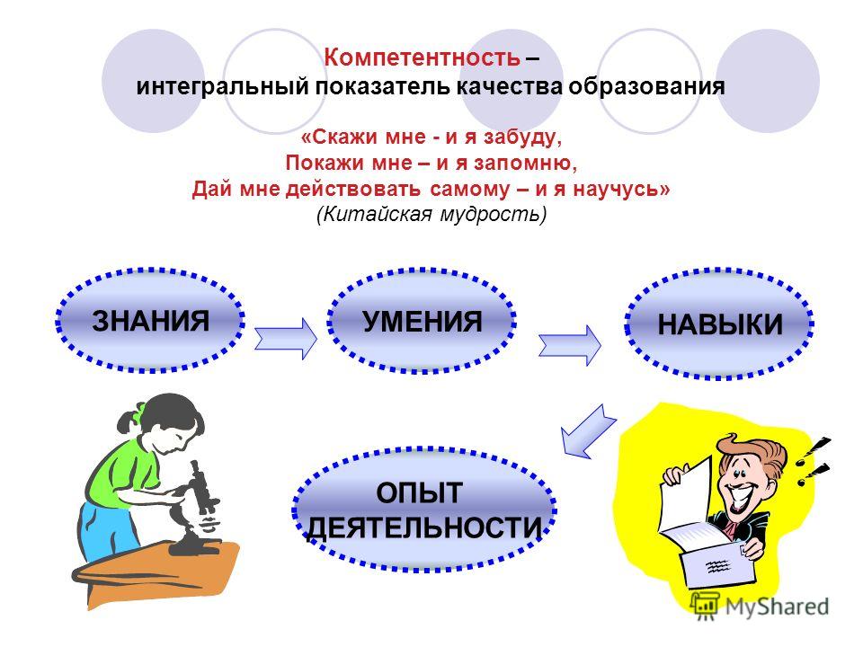 Какими цифрами обозначены на рисунке цикл развития папоротника Какими цифрами обозначены на рисунке цикл развития папоротника