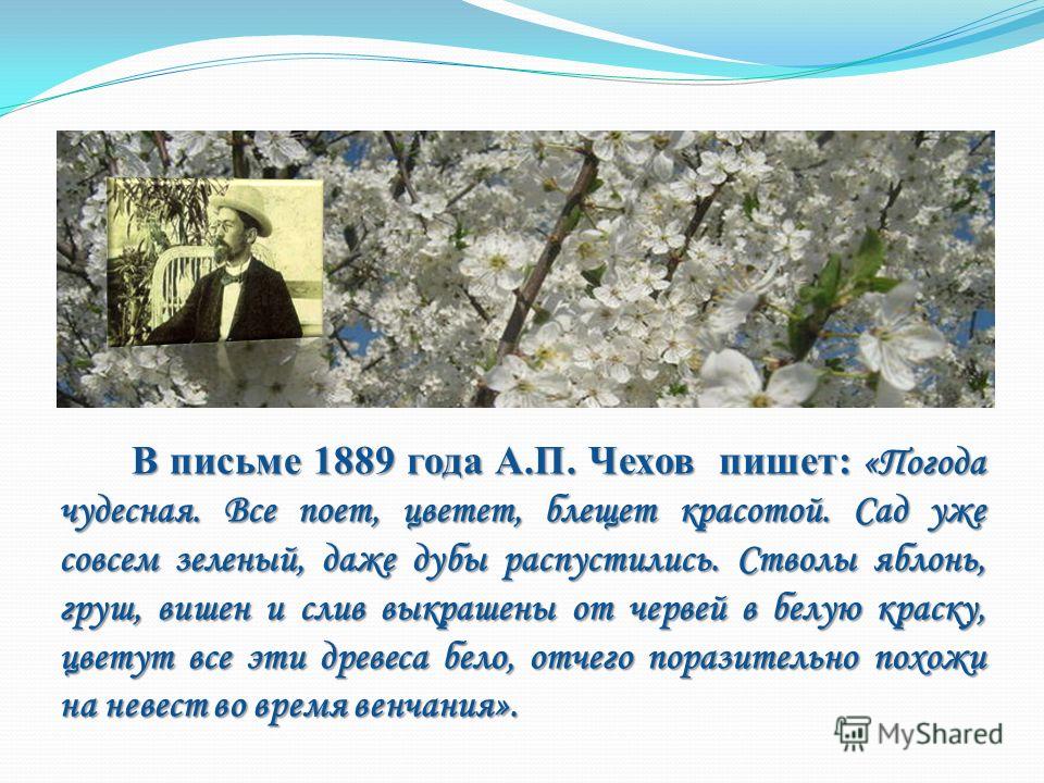 Челябинская обл г сатка погода на