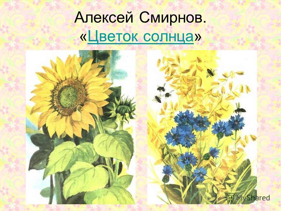 Цветок солнца это Цветок солнца это