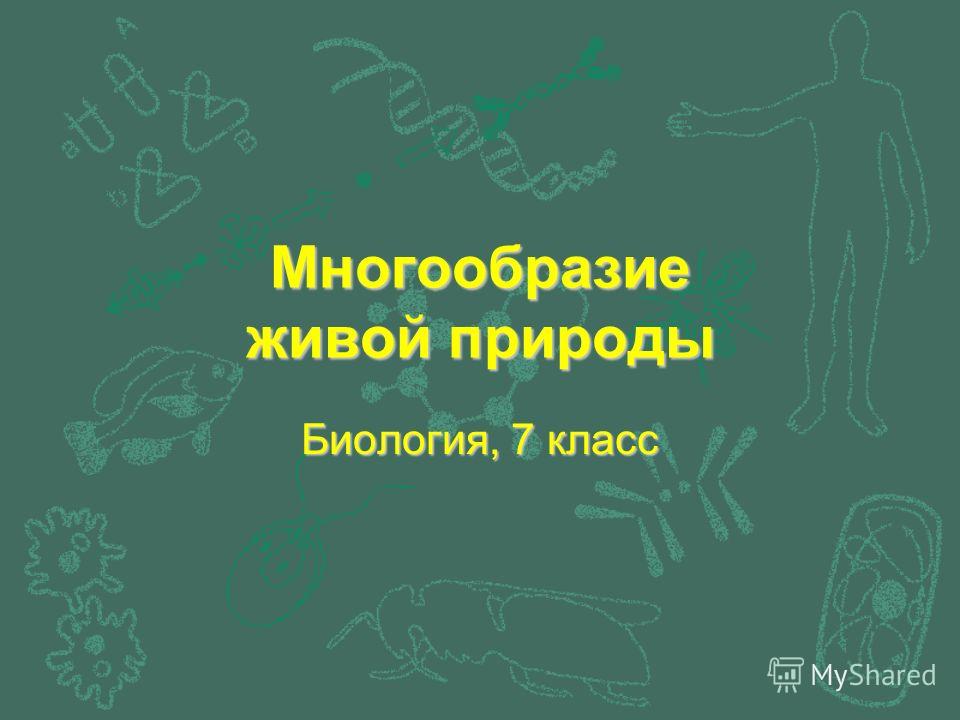 Картинки природа 7 класс Картинки природа 7 класс