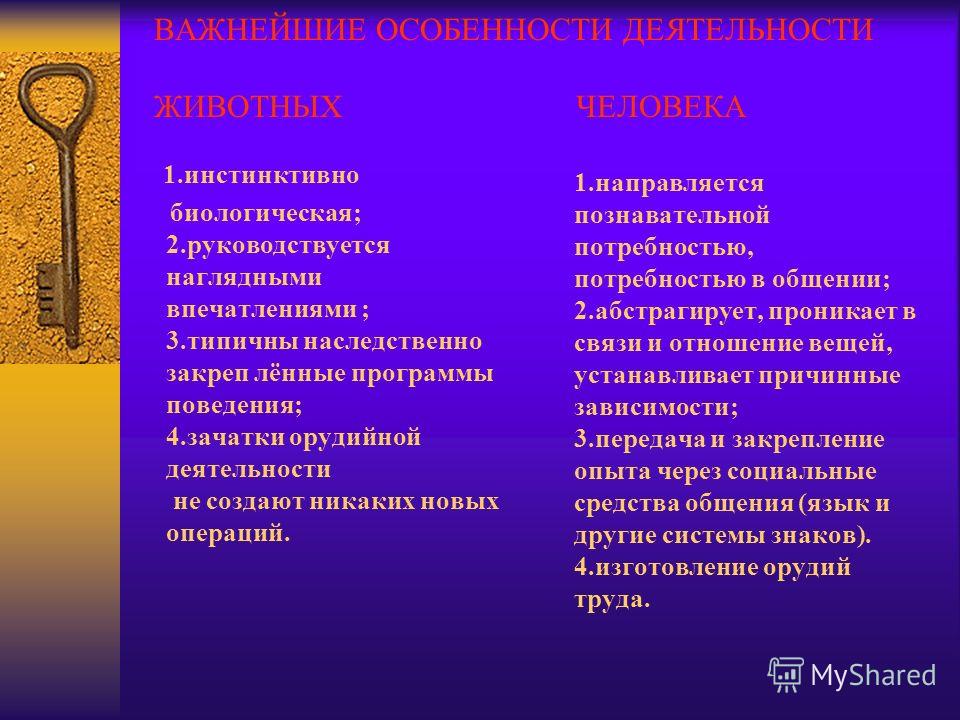 Социальные факторы на отношение человека на природу Социальные факторы на отношение человека на природу