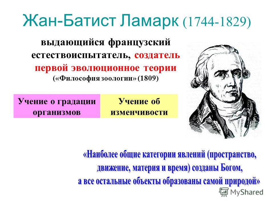 Жан-Батист Ламарк (1744-1829) выдающийся французский естествоиспытатель, создатель первой эволюционное теории («Философия зоологии» (1809) Учение о градации организмов Учение об изменчивости