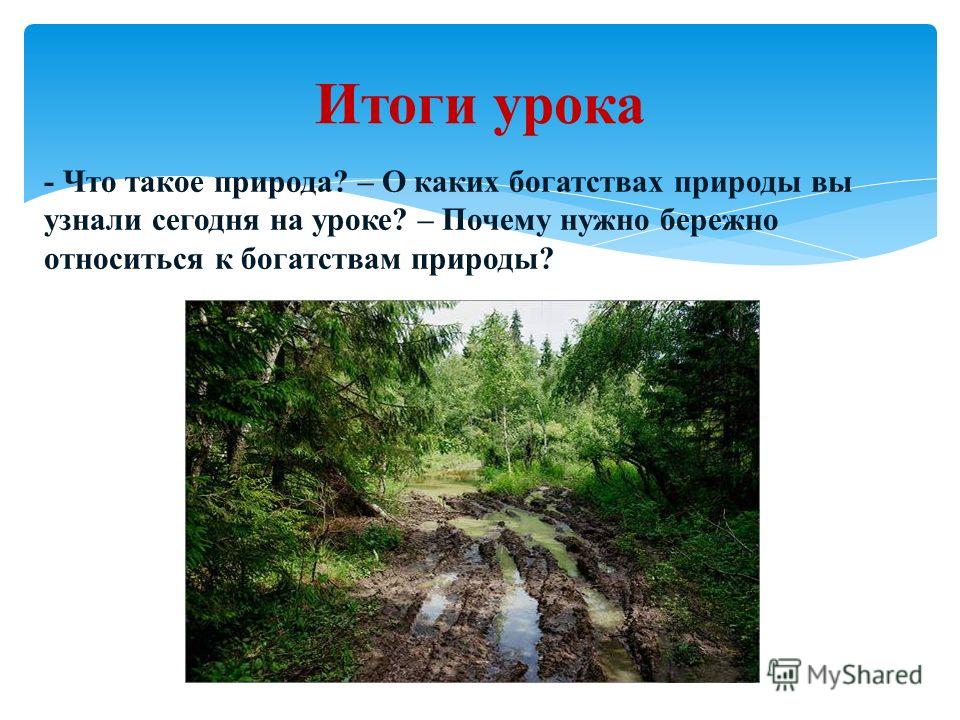 Почему нужно бережно относиться к почвам Почему нужно бережно относиться к почвам