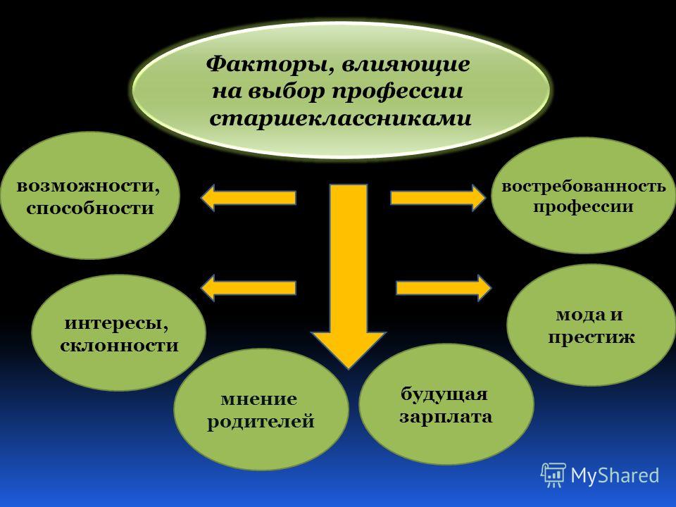 Факторы влияющие на выбор профессии проект