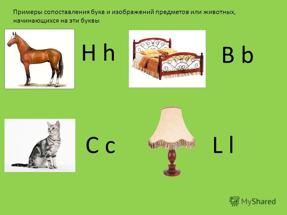 H h Примеры сопоставления букв и изображений предметов или животных, начинающихся на эти буквы B b L lC c