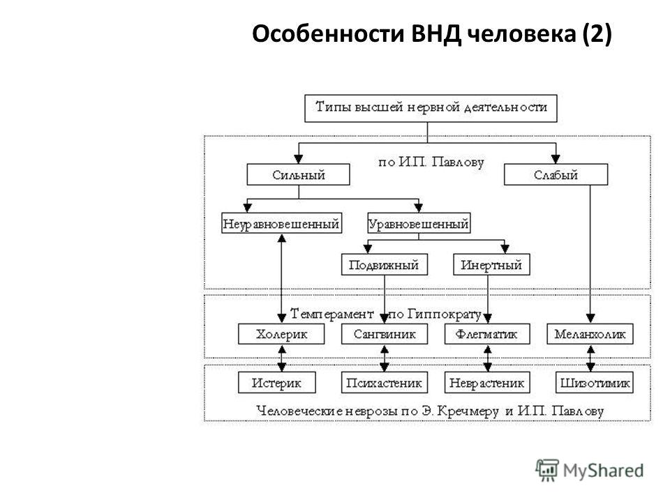 Плакат на день рождения папе своими руками красками Плакат на день рождения папе своими руками красками