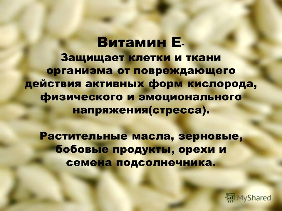 Большой комнатный цветок с зелено-белыми листьями Большой комнатный цветок с зелено-белыми листьями