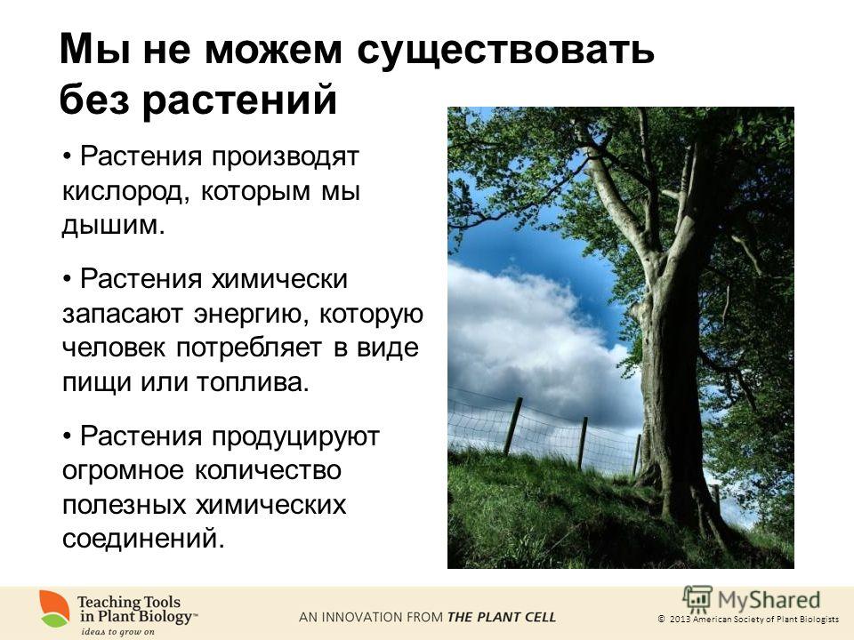 Презентация на тему &quot;© 2013 American Society of Plant