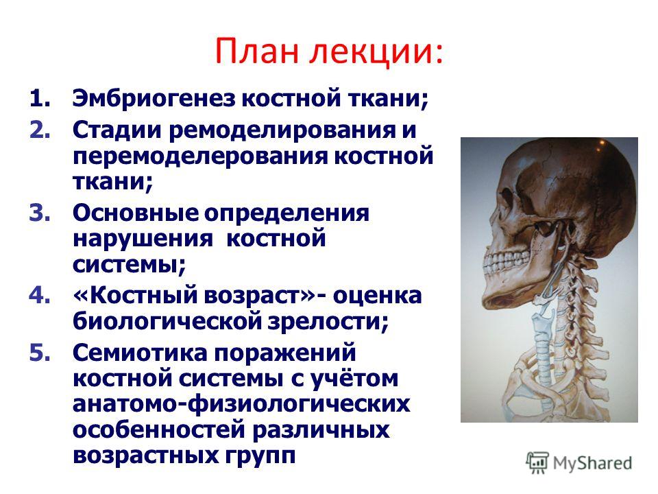 Нарушения осанки в фронтальной и сагиттальной