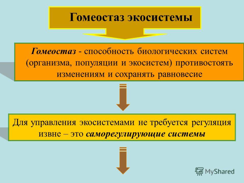 Дайте характеристику понятию гомеостаз приведите конкретные примеры