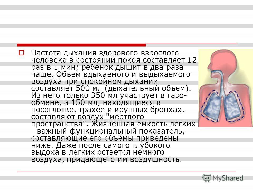 Почему при физической нагрузке увеличивается частота дыхания Почему при физической нагрузке увеличивается частота дыхания