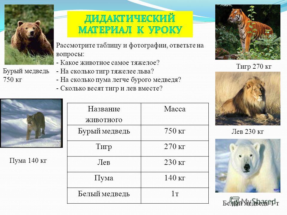 Презентация на тему "Мозг" - скачать презентации по Биологии - скачать презентац