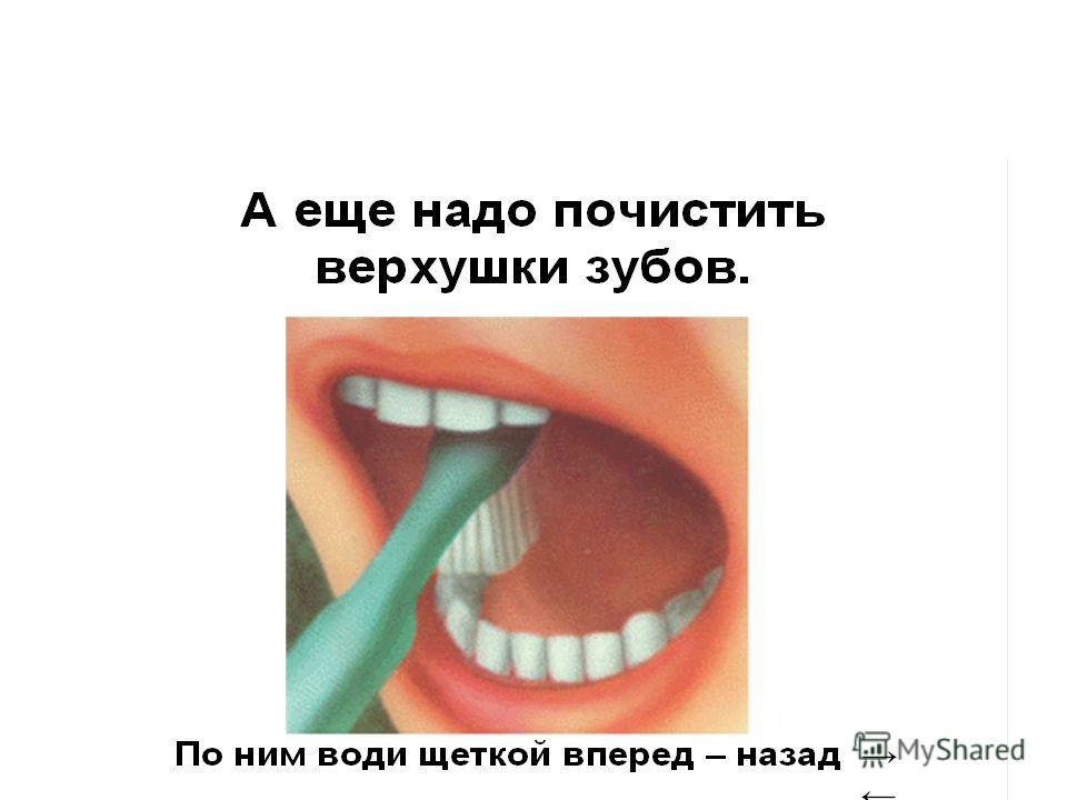 Почки связаны между собой Почки связаны между собой