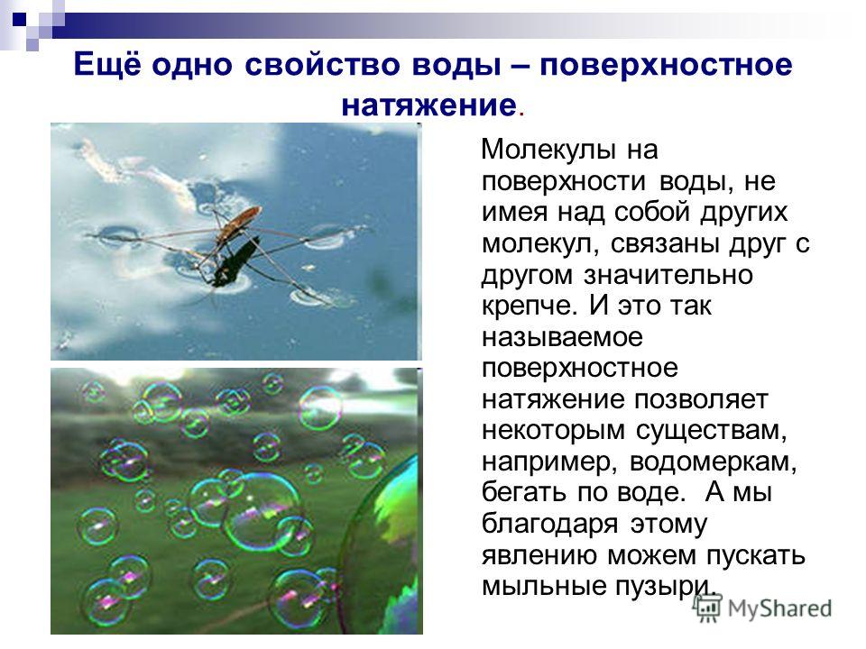 Что связано с водой Что связано с водой