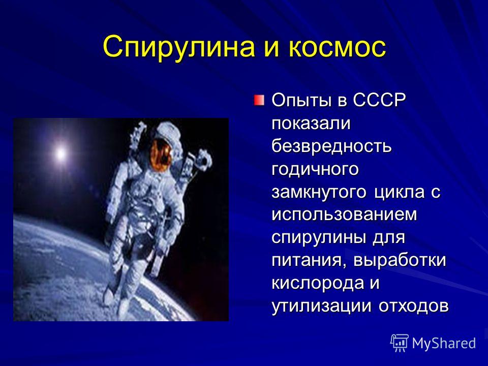 Картинки по запросу Спирулина космос