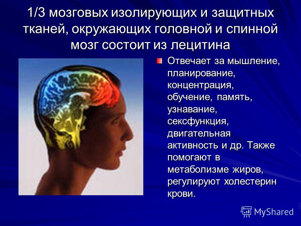 Антиэйджинговая терапия Антиэйджинговая терапия