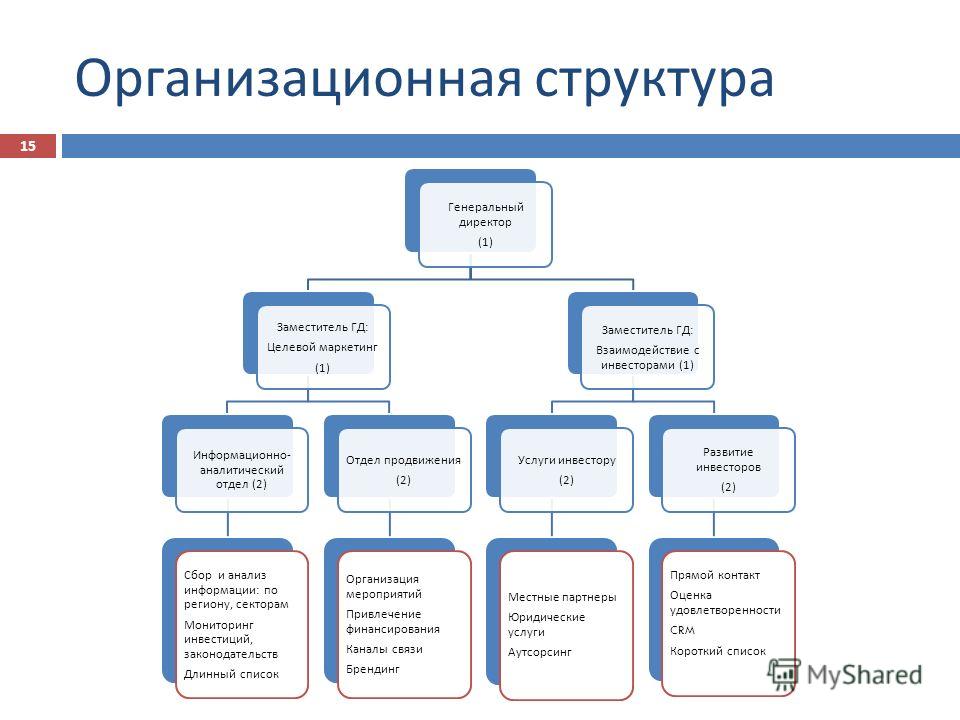 Организационная структура предприятия схема когда есть филиалы