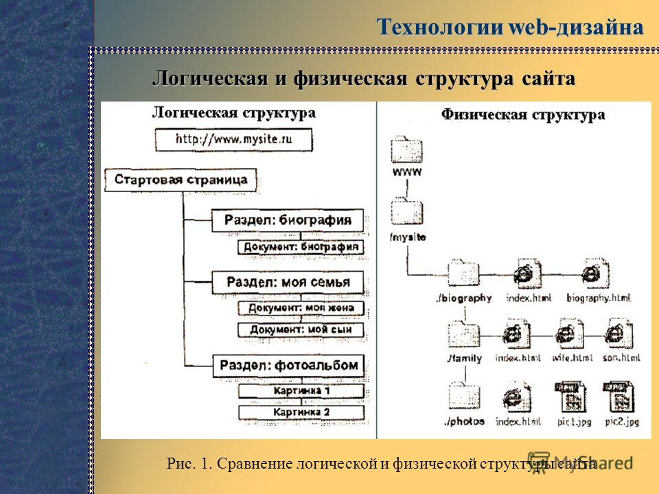 Презентация структура и дизайн Презентация структура и дизайн