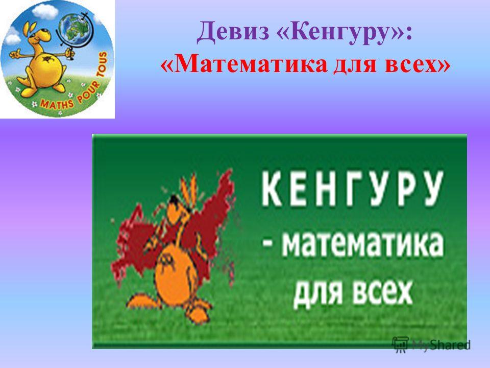 Место по кенгуру конкурс Место по кенгуру конкурс