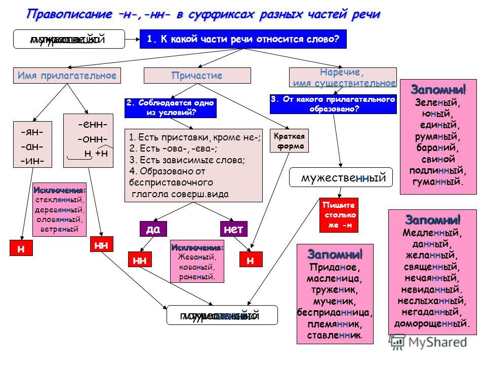шерстяные правописание н и нн с разными частями речи нас России