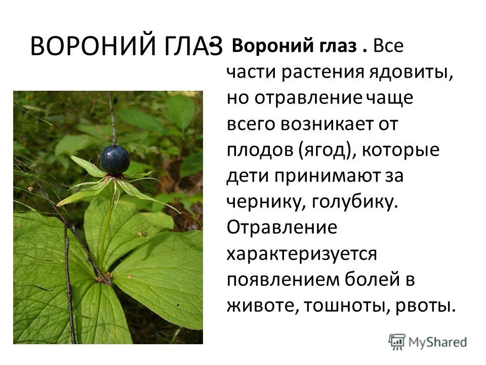 Сообщение наш край растение, сонник мужчина гладит волосы женщины и как оплатить железнодорожный билет через интернет Сообщение наш край растение