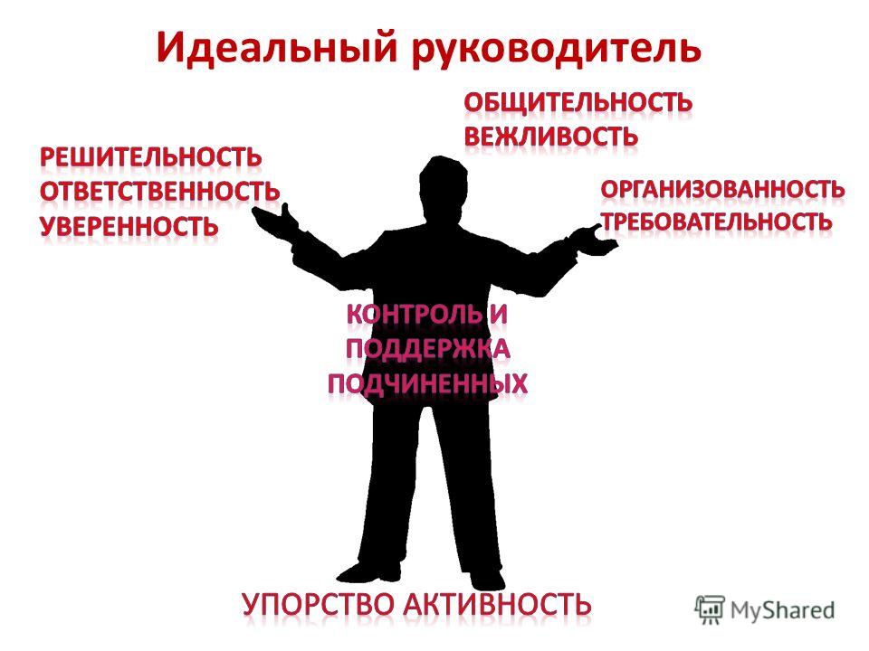 Качества эффективного руководителя проектом