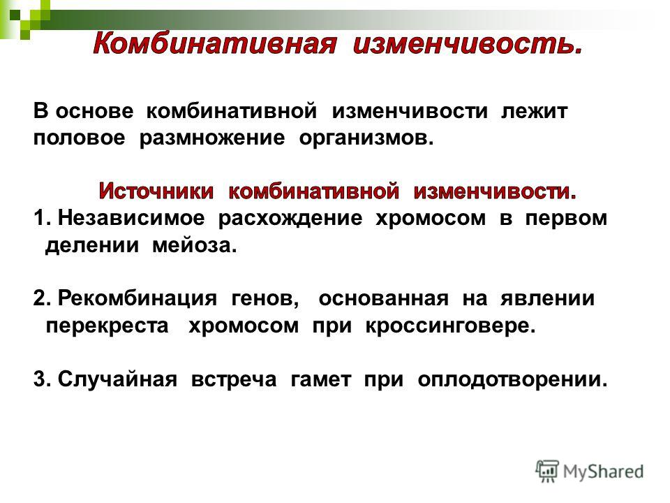 Презентация На Тему Наследственная Изменчивость Человека Презентация На Тему Наследственная Изменчивость Человека