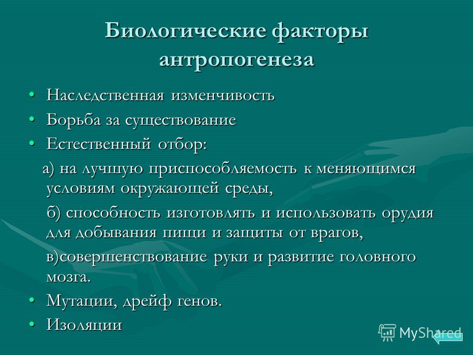 Защита проекта социальные факторы антропогенеза Социальные факторы антропогенеза - PascalBook.ru