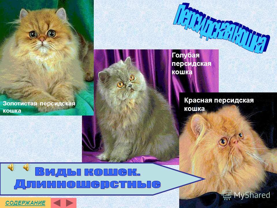 В Калуге учреждён новый конкурс-фестиваль эстрадного и джазового Айтматов Ч. Повести и рассказы