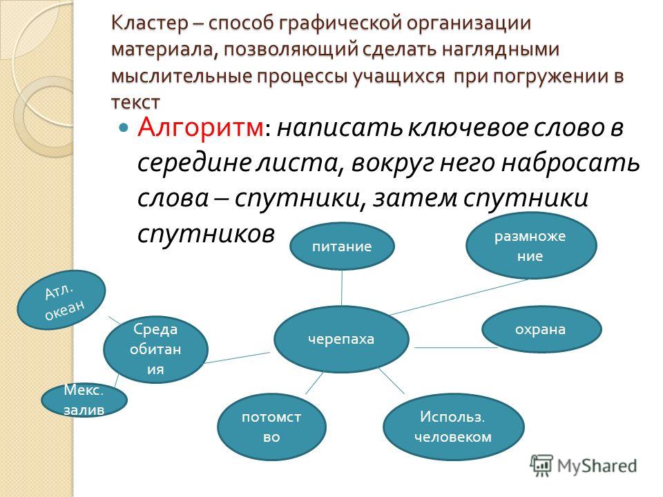 Изысканный клипарт для реализации творческой задумки, а Светодиодная подсветка по выгодным ценам в компании WRS