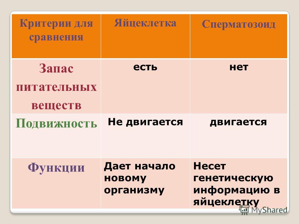 Сравнительная характеристика половых клеток таблица
